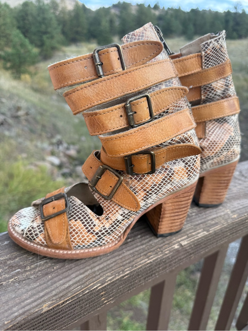 Freebird Bond Gladiator Heels - 7